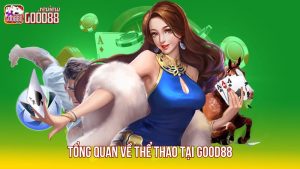 1 Tong-quan-ve-the-thao-tai-Good88